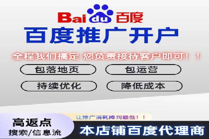 行业领先企业如何运用SEM进行精准营销